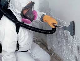 Best Industrial Mold Remediation  in Burbank, IL